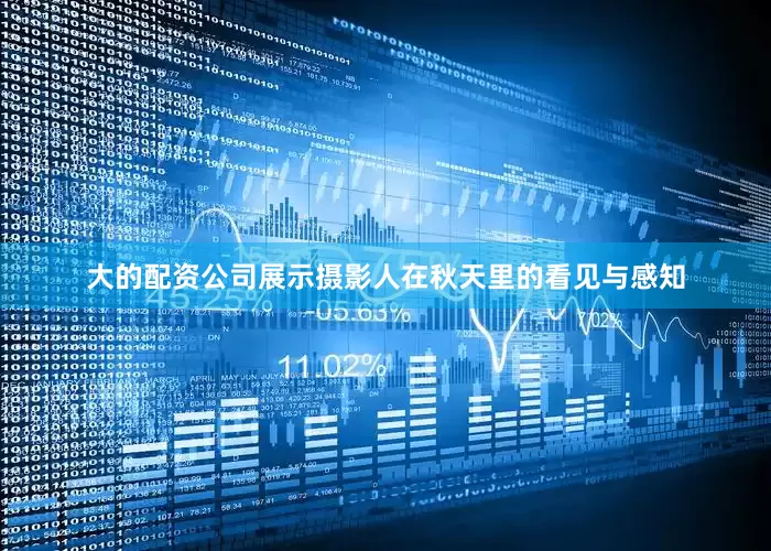 大的配资公司展示摄影人在秋天里的看见与感知